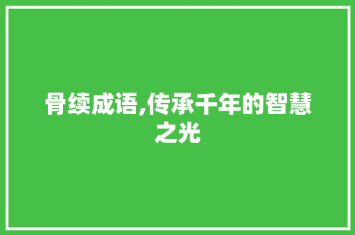 骨续成语,传承千年的智慧之光 生活随笔