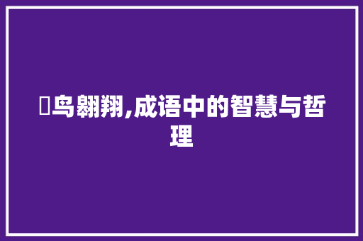鸼鸟翱翔,成语中的智慧与哲理
