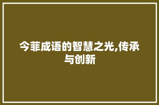今菲成语的智慧之光,传承与创新