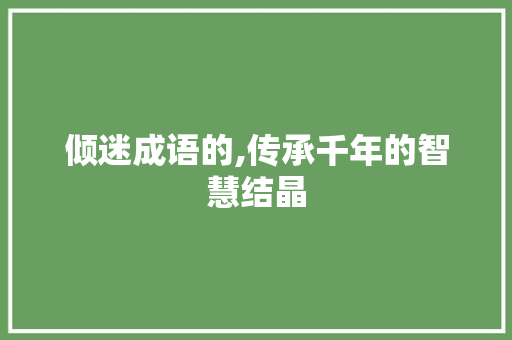 倾迷成语的,传承千年的智慧结晶