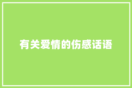 考证之路,规划与实施