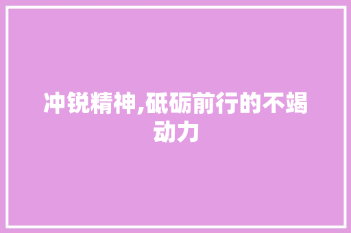 冲锐精神,砥砺前行的不竭动力