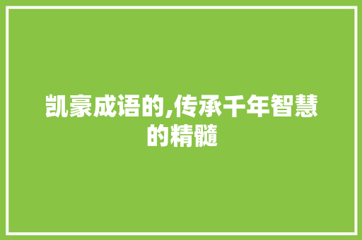 凯豪成语的,传承千年智慧的精髓