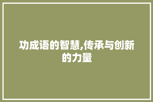 功成语的智慧,传承与创新的力量