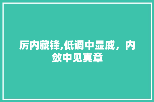厉内藏锋,低调中显威，内敛中见真章