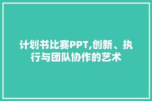 计划书比赛PPT,创新、执行与团队协作的艺术 采访稿