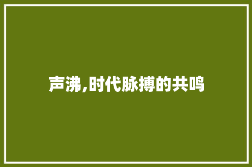 声沸,时代脉搏的共鸣