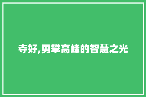 夺好,勇攀高峰的智慧之光
