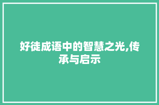 好徒成语中的智慧之光,传承与启示