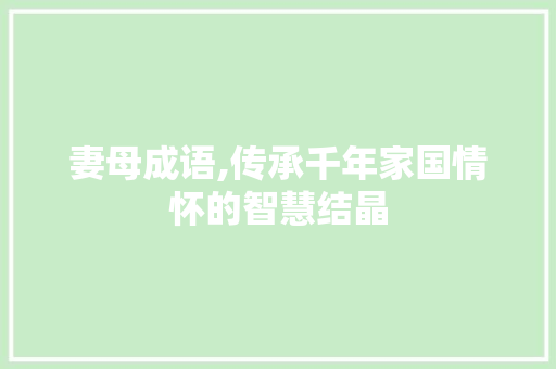 妻母成语,传承千年家国情怀的智慧结晶