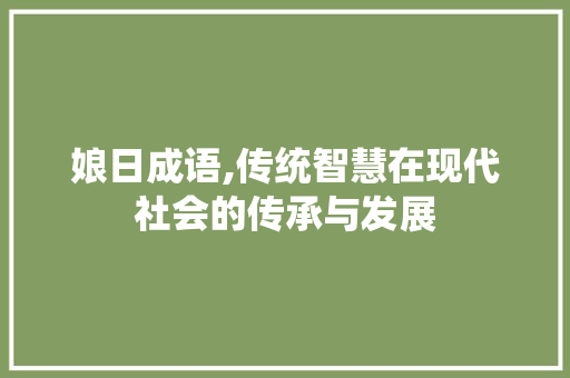 娘日成语,传统智慧在现代社会的传承与发展