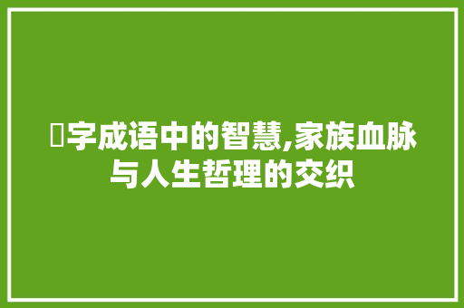 孖字成语中的智慧,家族血脉与人生哲理的交织