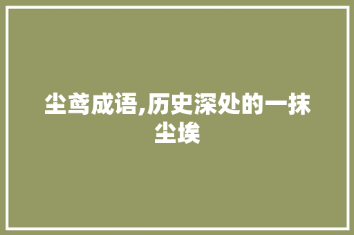 尘鸢成语,历史深处的一抹尘埃