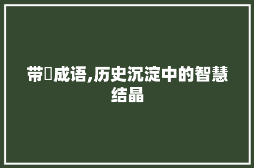 带戻成语,历史沉淀中的智慧结晶