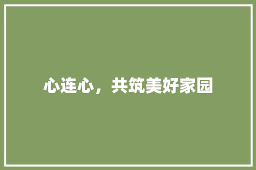 心连心，共筑美好家园