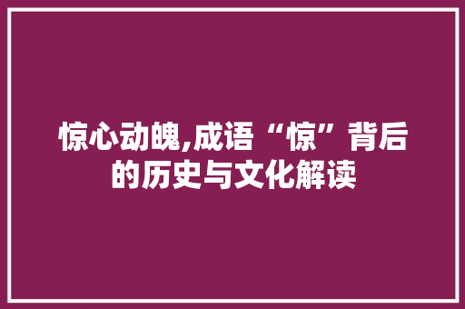 惊心动魄,成语“惊”背后的历史与文化解读 商业文稿