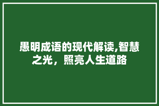 愚明成语的现代解读,智慧之光，照亮人生道路