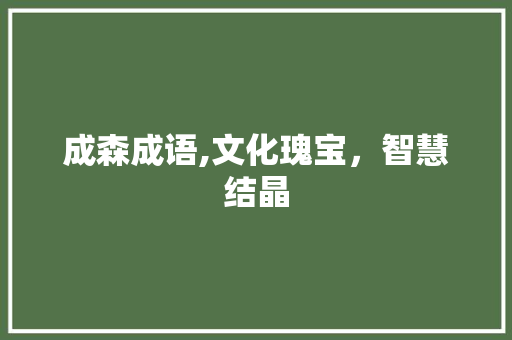 成森成语,文化瑰宝，智慧结晶