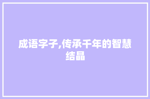 成语字子,传承千年的智慧结晶