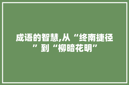 成语的智慧,从“终南捷径”到“柳暗花明”