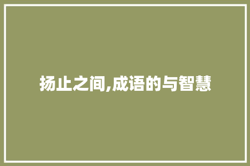 扬止之间,成语的与智慧 特写稿