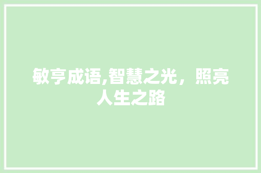 敏亨成语,智慧之光，照亮人生之路