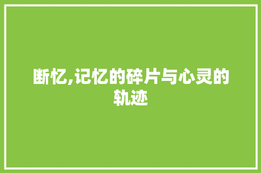 断忆,记忆的碎片与心灵的轨迹