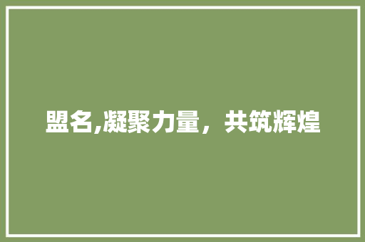盟名,凝聚力量，共筑辉煌
