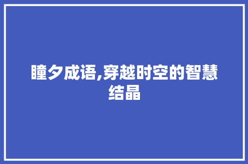 瞳夕成语,穿越时空的智慧结晶 采访稿