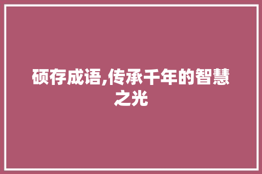 硕存成语,传承千年的智慧之光 工作报告