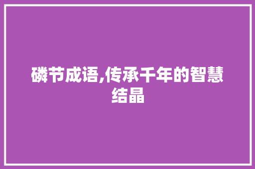 磷节成语,传承千年的智慧结晶