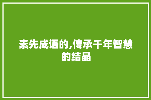 素先成语的,传承千年智慧的结晶