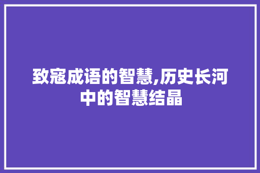 致寇成语的智慧,历史长河中的智慧结晶