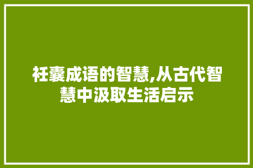 衽囊成语的智慧,从古代智慧中汲取生活启示