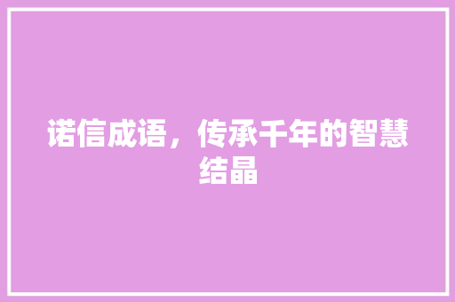 诺信成语，传承千年的智慧结晶 工作类