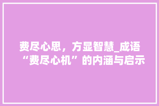 费尽心思，方显智慧_成语“费尽心机”的内涵与启示