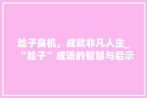 趁子良机，成就非凡人生_“趁子”成语的智慧与启示
