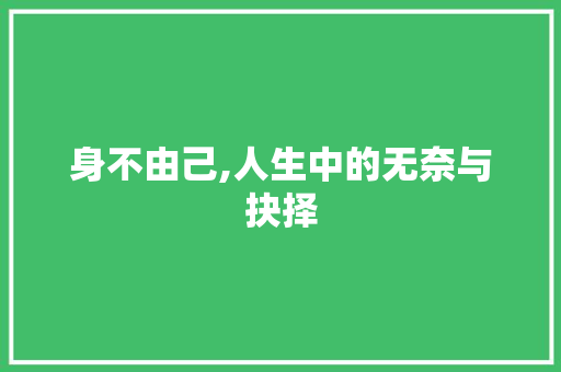身不由己,人生中的无奈与抉择