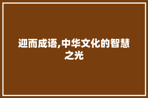 迎而成语,中华文化的智慧之光 工作报告