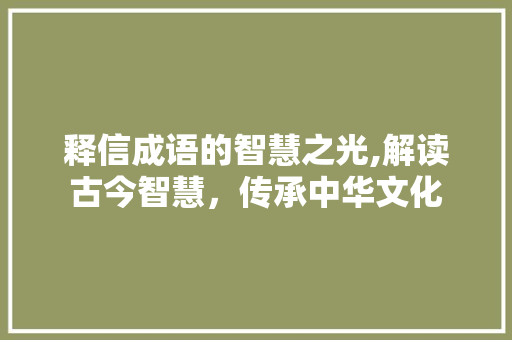 释信成语的智慧之光,解读古今智慧，传承中华文化