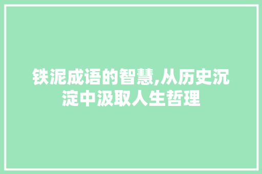 铁泥成语的智慧,从历史沉淀中汲取人生哲理 工作类
