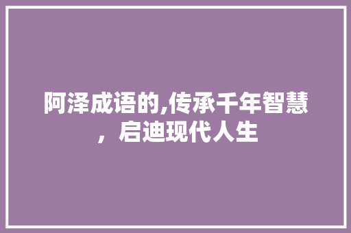 阿泽成语的,传承千年智慧，启迪现代人生 工作总结