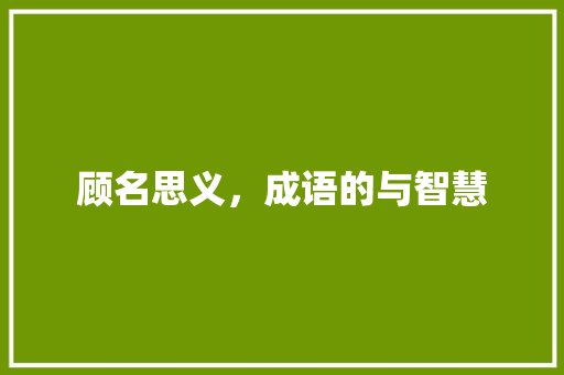 顾名思义，成语的与智慧
