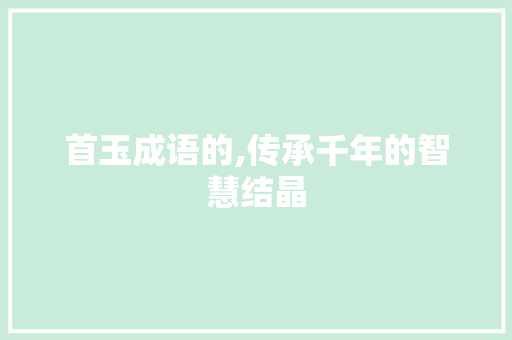 首玉成语的,传承千年的智慧结晶