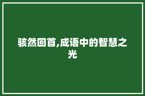 骇然回首,成语中的智慧之光 工作报告