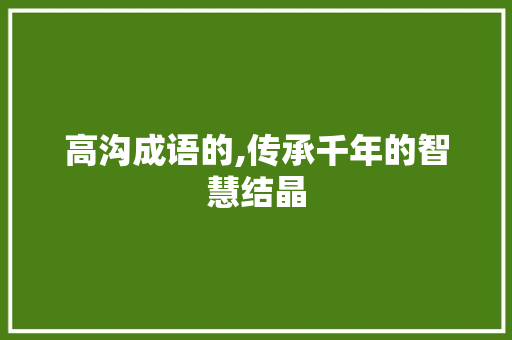 高沟成语的,传承千年的智慧结晶