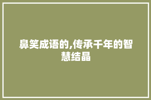 鼻笑成语的,传承千年的智慧结晶