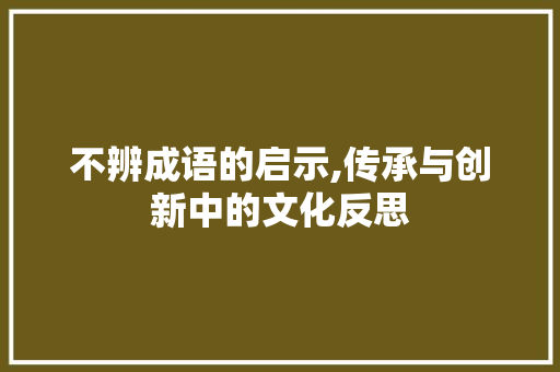 不辨成语的启示,传承与创新中的文化反思