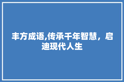 丰方成语,传承千年智慧，启迪现代人生