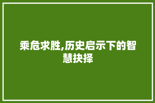 乘危求胜,历史启示下的智慧抉择